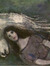 Carlotta Martino