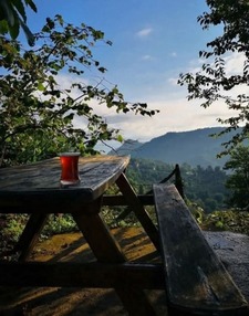 مُحمد  حَيدَر