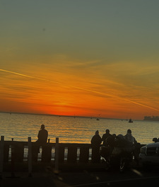 Charlotte Harrington