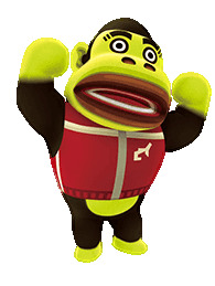 ciconinko
