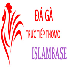 Đá Gà Trực Tiếp  Thomo