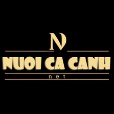 NuoicacanhnetCá Cảnh ✅ Địa chỉ mua bán Cá Cảnh uy 