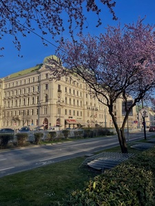 Alexandra