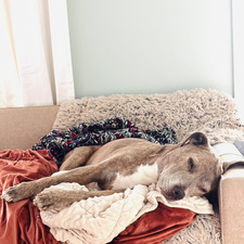 Kristen Burger - Wetherbee 