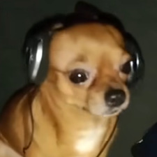 Luc
