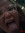 Marlee ...