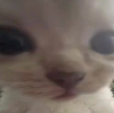 Nunun