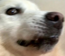 esther ⭐️ (in school)