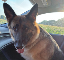 Rad Reader&#x1f919;&#x1f3fc; (Mandy)