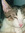 Alannie