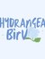 Hydragea Biru