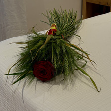 Anna Altar