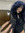 member photo member photo