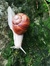 The Snail