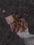 Séraphine  Fiore ☾ { Hiatus Until 14th September }