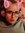 Jade Pope (jadespope) | 1 comments