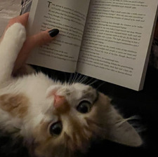 𐔌՞ coco ⊹ ࣪ ˖