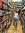 Alivia Shen | 3 comments