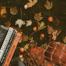 ˚✧₊ marty⁺˳✧༚