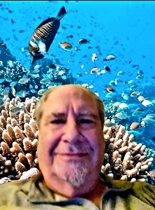 Mark Spires