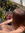 member photo member photo