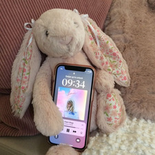 Butterfly. Reads. 13