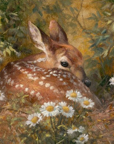 °❀⋆.ೃ࿔*:･ ire °❀⋆.ೃ࿔*:･