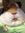 member photo member photo