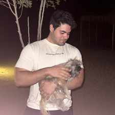 Ahmed Hamza