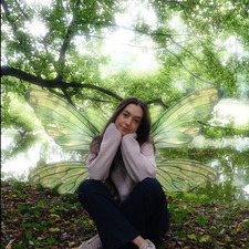whimsicalspines