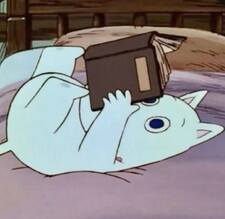 moomin