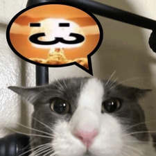 AJ