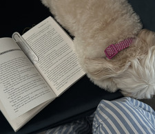 Constanza Hernández Quiroga