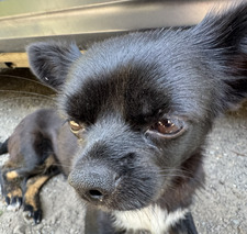 Сергій Маслій