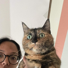 Ragyie Rawal