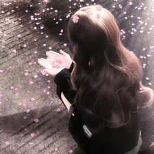 𐙚₊˚ cecιle‘ ₊˚ෆ