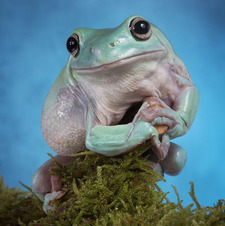 D R