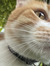 SmartieChanga13