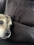 Maddy