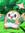 Rowlet