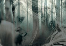 Laura Rainbird