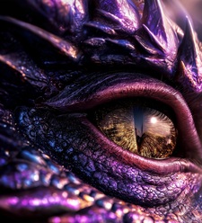 Amanda-Lee Cunningham