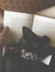 Zoey Su...