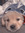 sofi&#x1f380;&#x1f9f8; jinu’s version~ | 1 comments