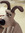 member photo member photo