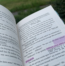 phoenix *ੈ✩‧₊˚