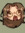 Maple-Leaf (IM ALIVE I SWEAR) (maple-leaf-sylv) | 9 comments