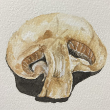 cacheayi