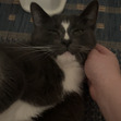 Mel
