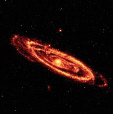 Decalius G